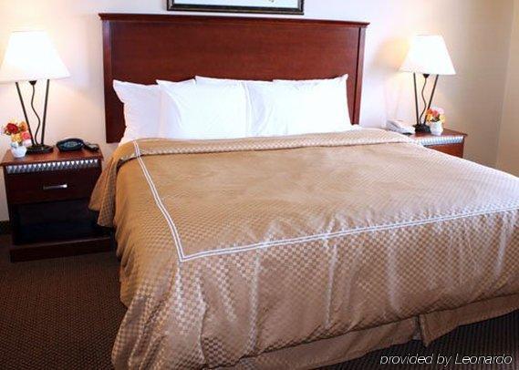 Comfort Suites Wixom Room photo